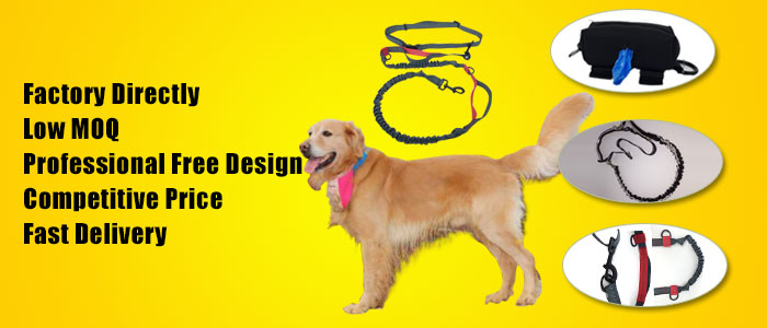 Pets Angels Co.,Limited